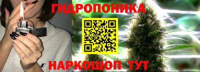 скорость Аргун