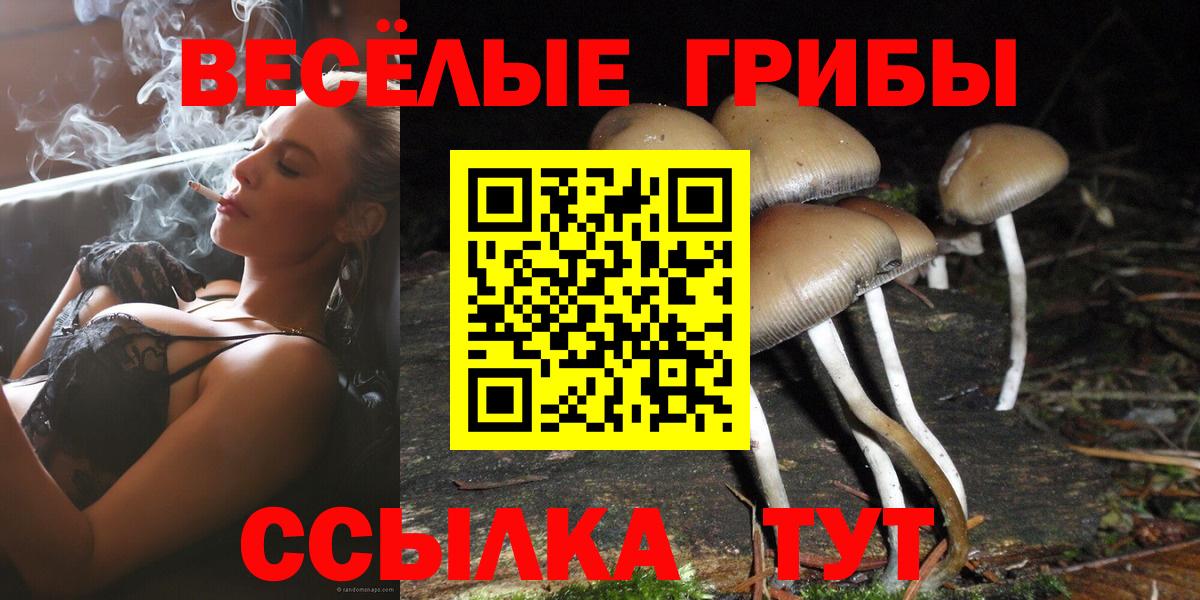 Галлюциногенные грибы Cubensis  Вход с VPN  Бор  Псилоцибиновые грибы Psilocybe 